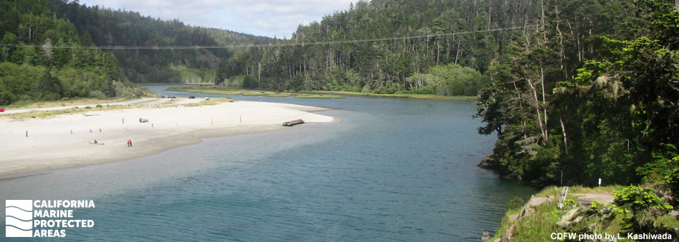 a river with sandy beach winds between forested hills